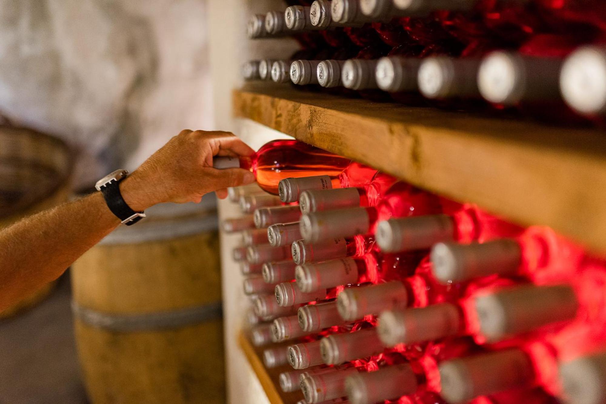 בית הארחה פולוניה 	Kostantakis Winery Estate מראה חיצוני תמונה