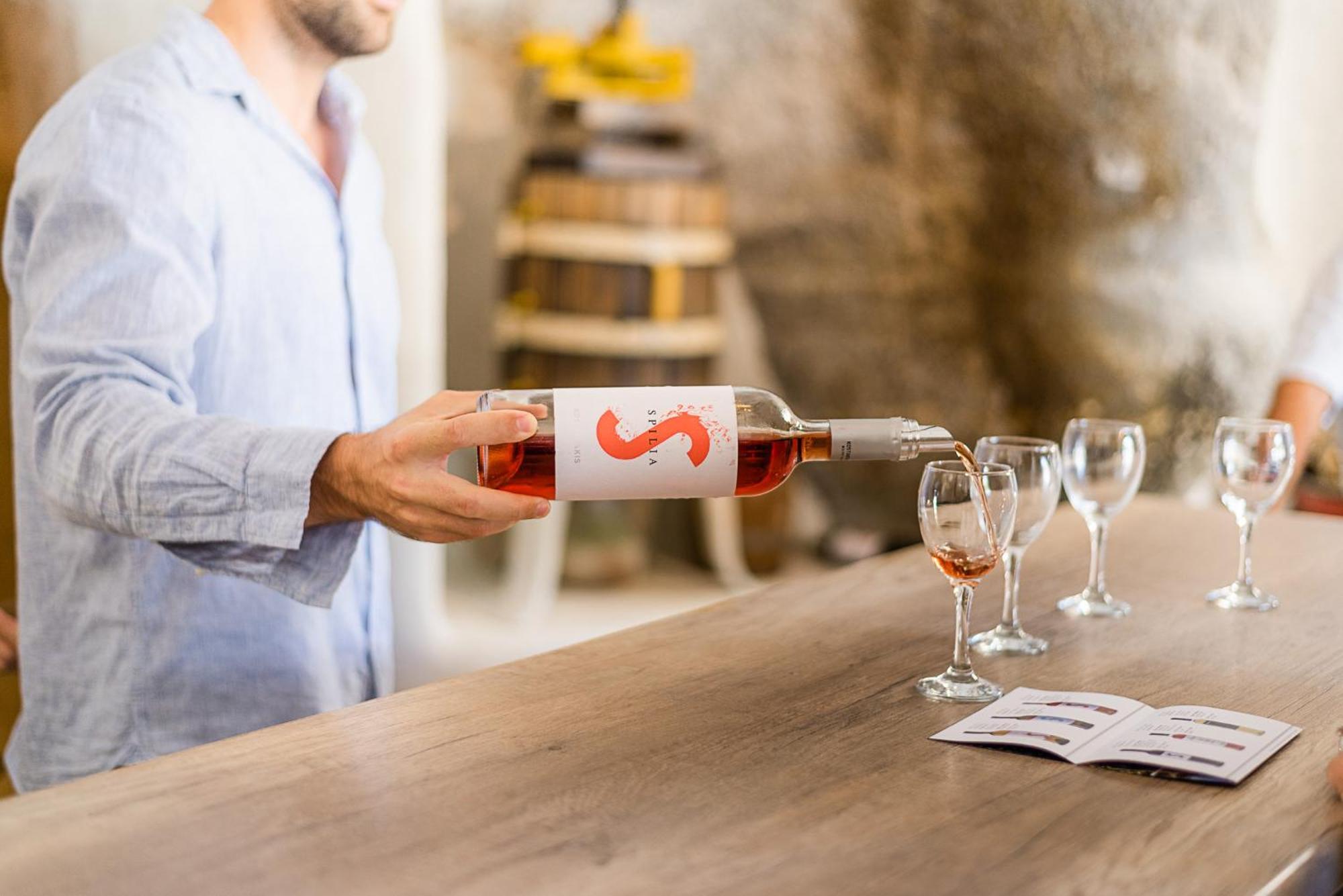 בית הארחה פולוניה 	Kostantakis Winery Estate מראה חיצוני תמונה