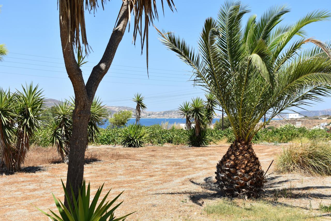 בית הארחה פולוניה 	Kostantakis Winery Estate מראה חיצוני תמונה